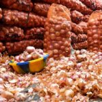 PAD : Débarquement de 7000 tonnes d’oignons importés