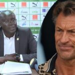 Football : Hervé Renard pense à une potentielle 3e CAN